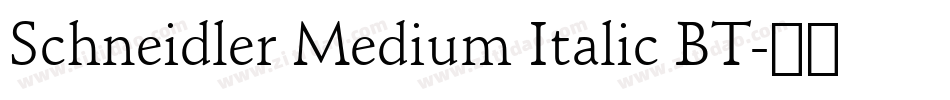 Schneidler Medium Italic BT字体转换